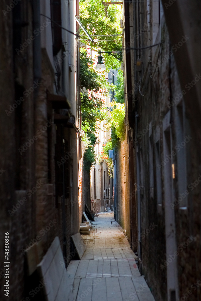 Street Lane in Venice in summer