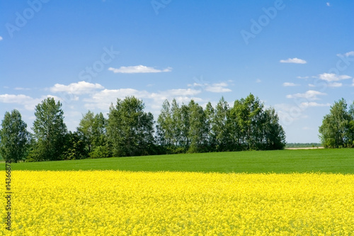Fototapeta Naklejka Na Ścianę i Meble -  spring landscape