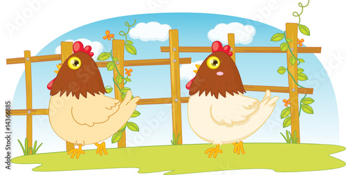 chicken on a farm illustration