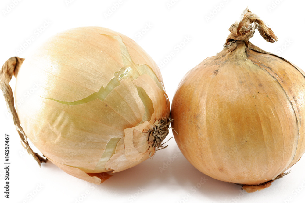 Fototapeta premium onion