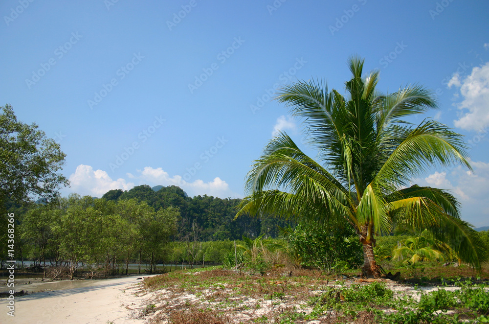Obraz premium tropical beach