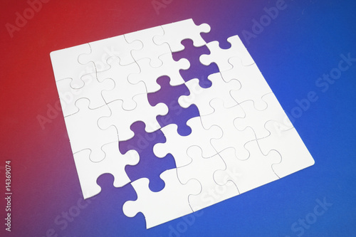 Jigsaw Puzzle