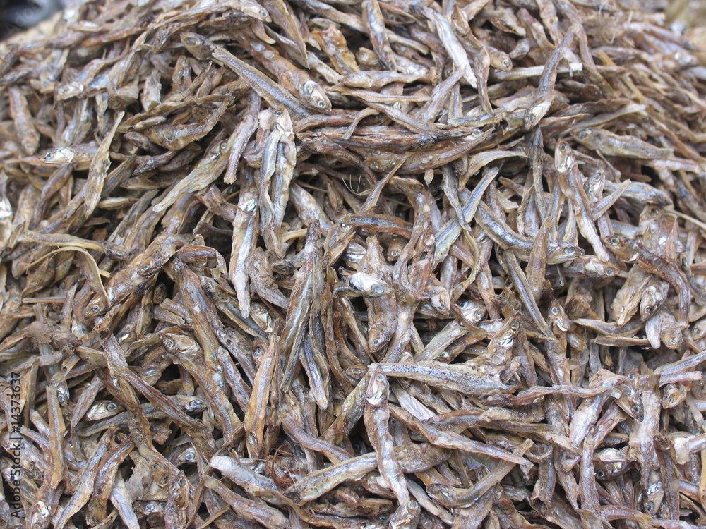 Small Dried Fish Small Dried Fish