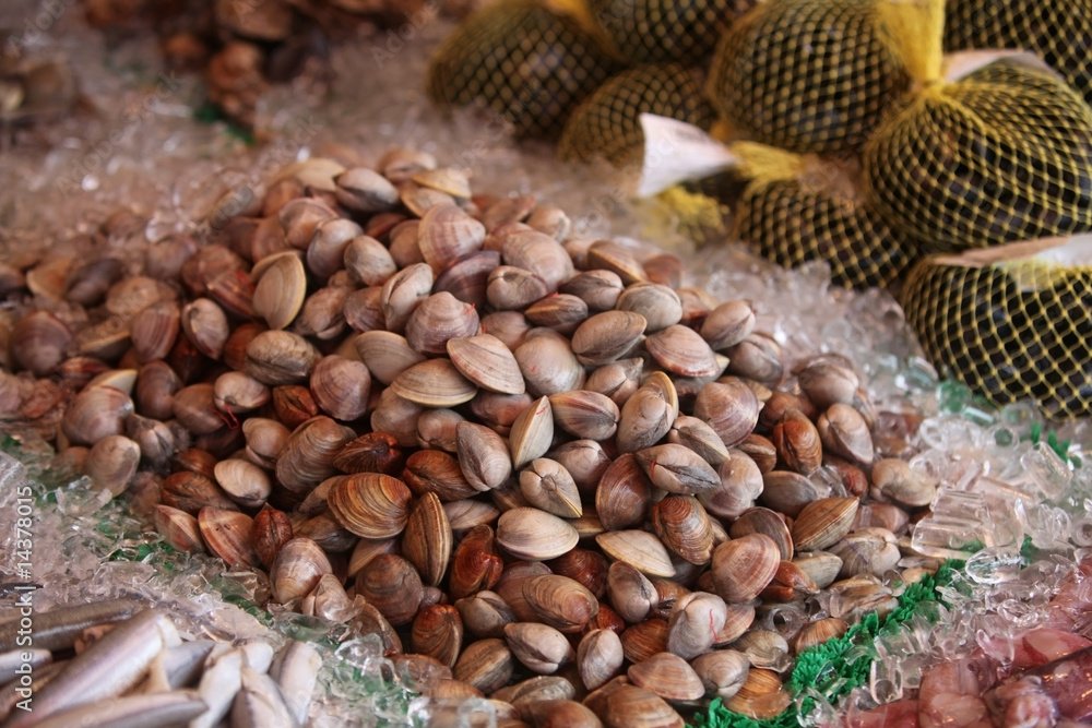 Naklejka premium seafood