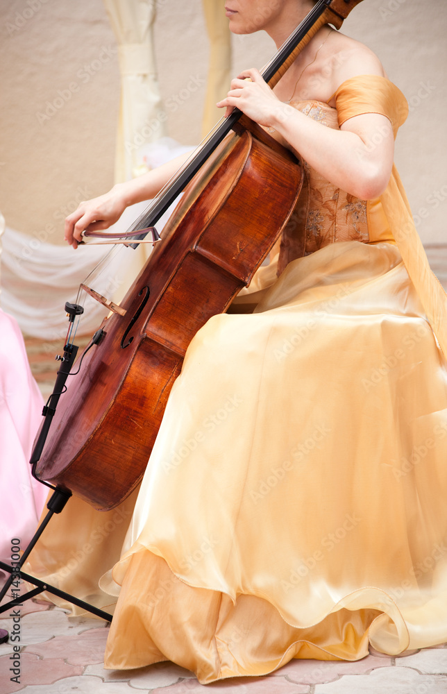 Obraz premium cello musician