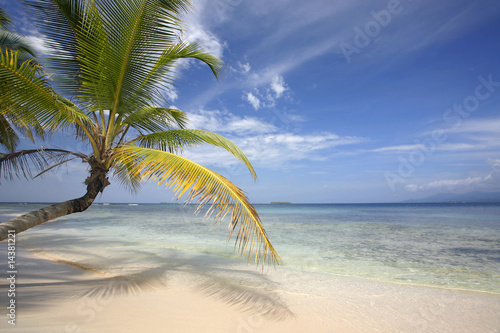 Fototapeta Naklejka Na Ścianę i Meble -  Playa Tropical Perfecta