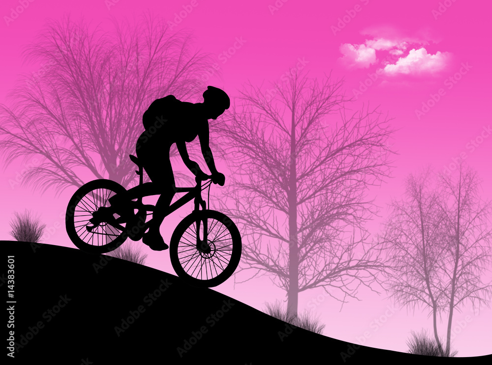 Obraz premium Mountain Bike