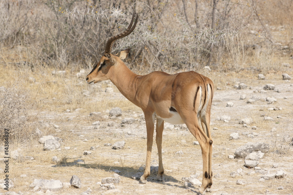 Fototapeta premium SONY DSC
