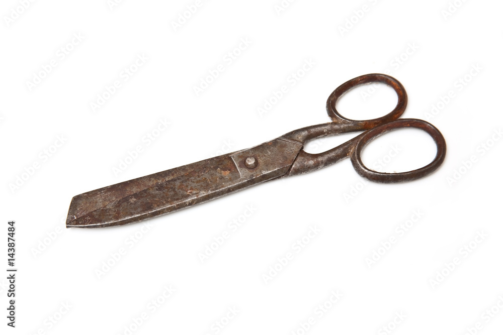 Scissors isolated on a white studio background. Scissors isolated on a white studio background.