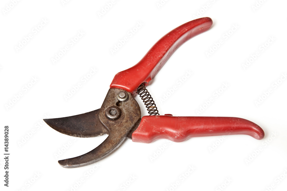 garden scissors isolated on a white studio background. garden scissors isolated on a white studio background.
