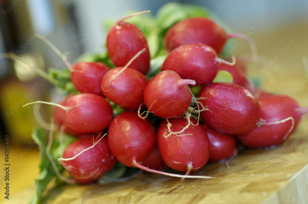 Rote Radieschen Rote Radieschen