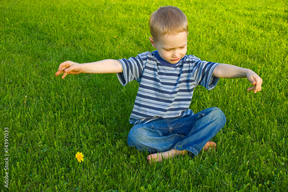 Fototapeta premium Boy sits on grass