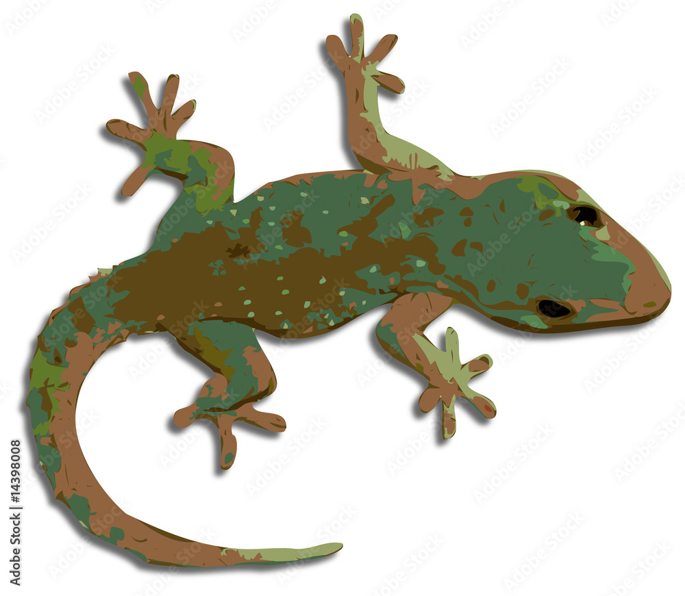 Naklejka premium gecko