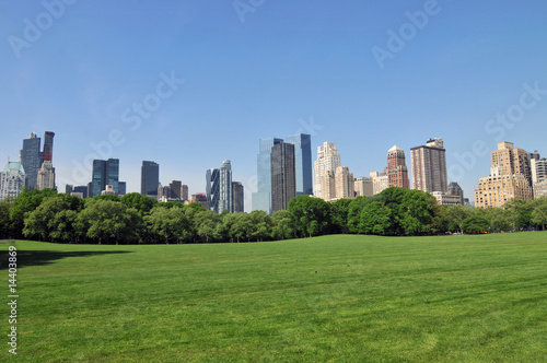 Early summer in the Central Park.
