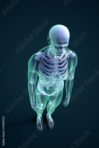 3D rendering of a male figure with visible skeleton structure