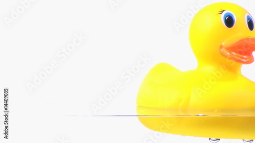 Rubber ducky back and forth - HD