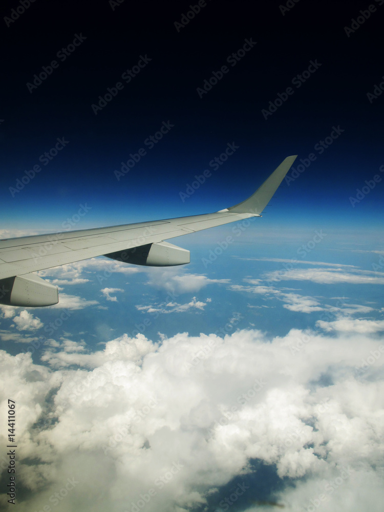 Flight Flight