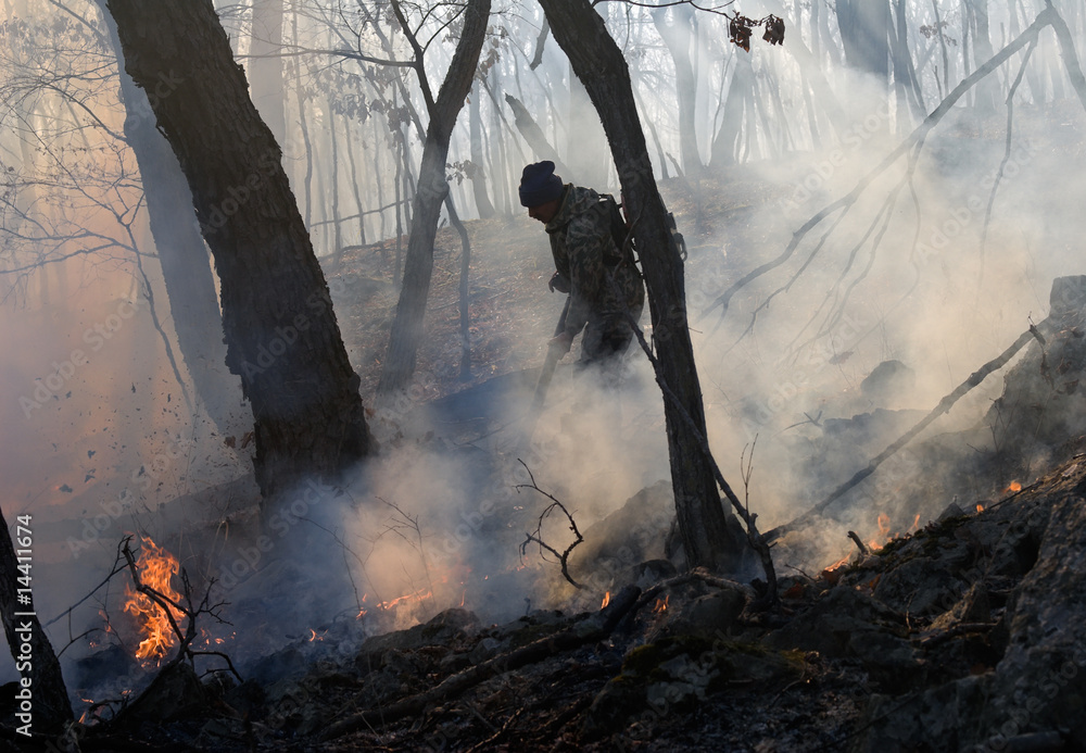 Suppression of Forest Fire 13 Suppression of Forest Fire 13