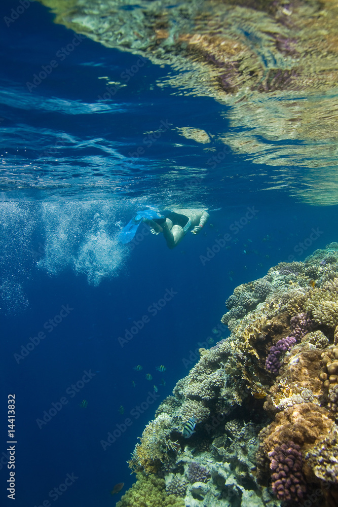 Man snorkeling in Red sea