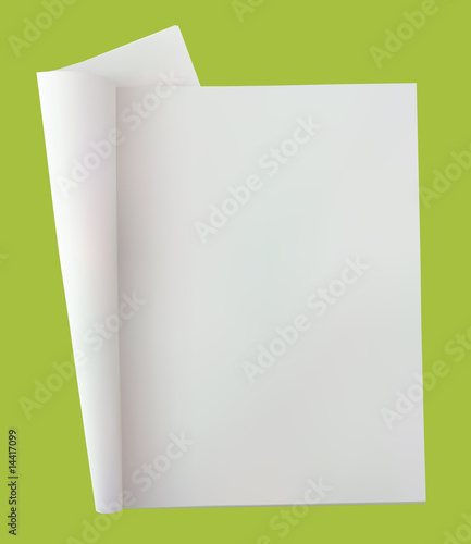 Open blank newspaper