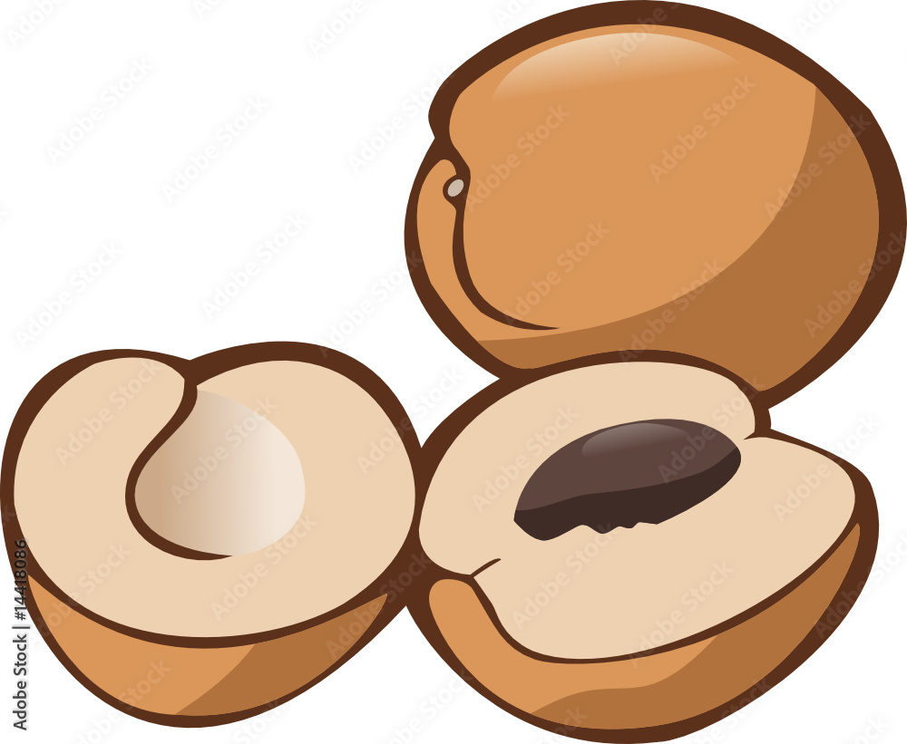 Obraz premium Apricots
