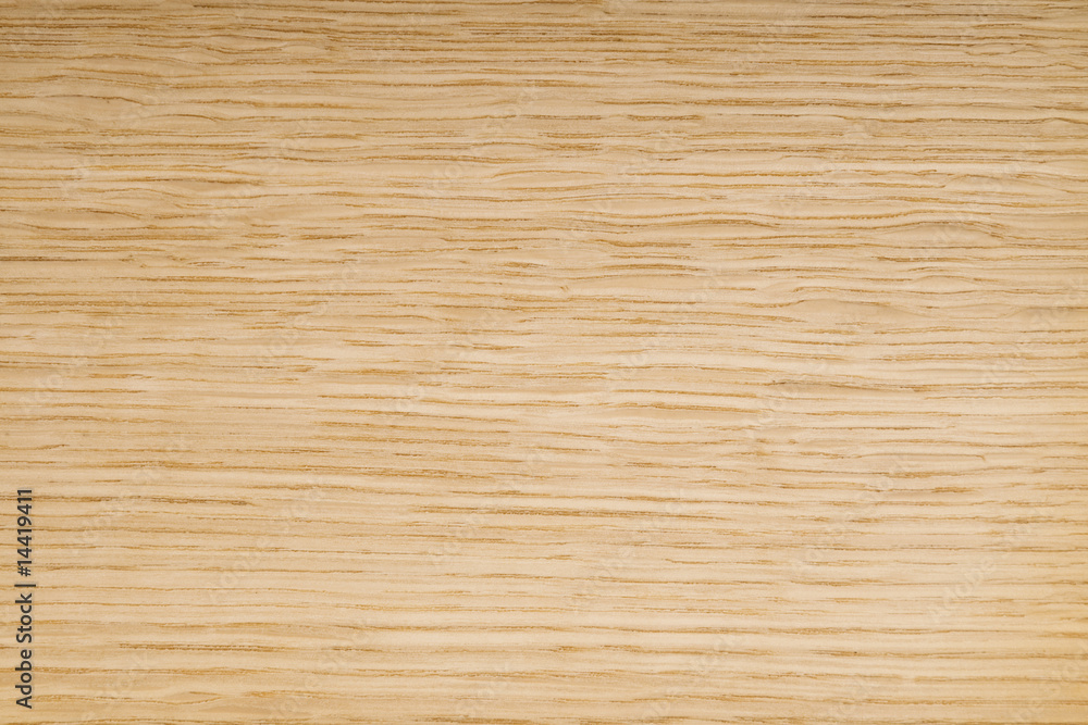 Wood texture close-up background Wood texture close-up background