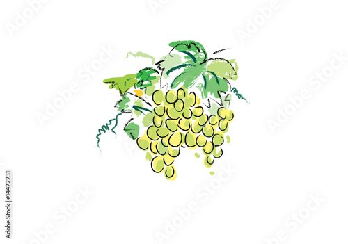 Weintrauben