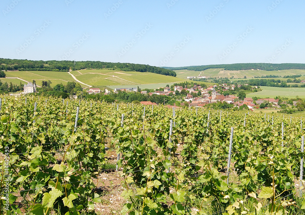 Village de Bligny (Aube) Vignes et Château