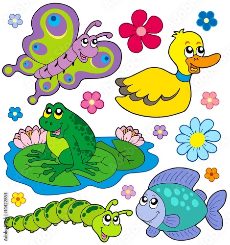 Small animals collection 8
