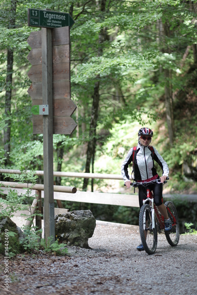 Obraz premium MTB Tegernsee