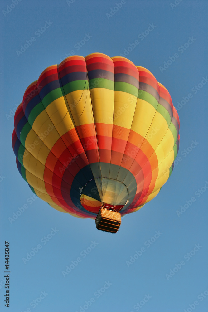 Fototapeta premium Hot air balloon