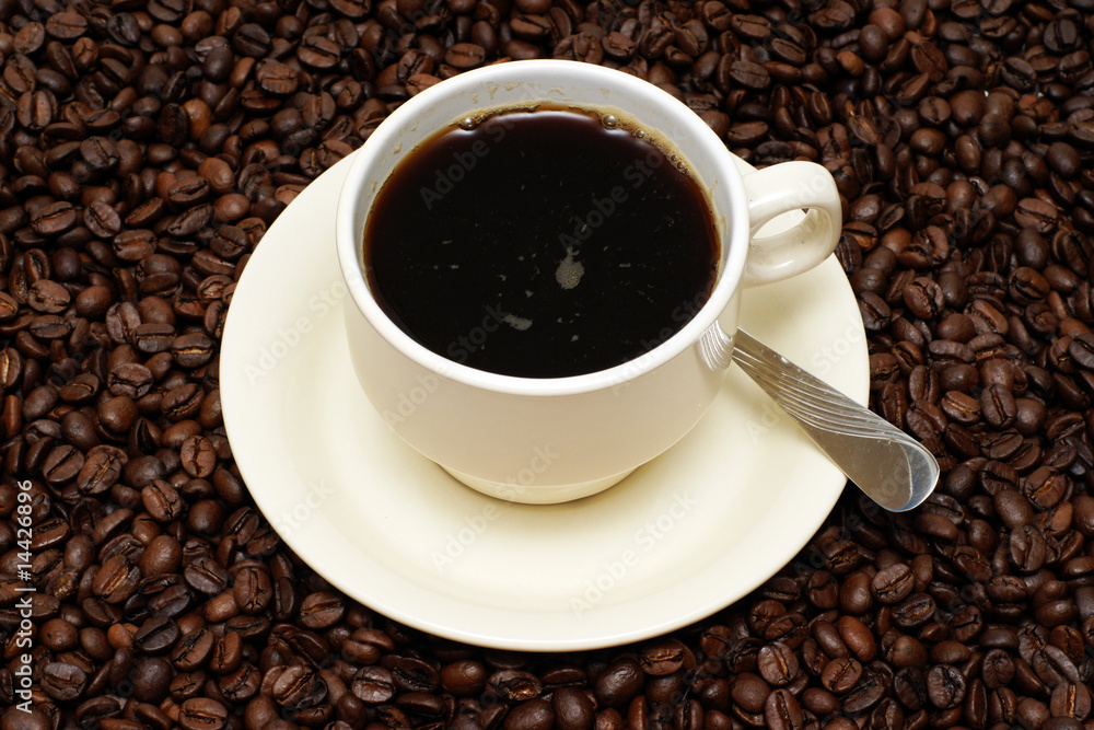 tasse kaffee mit frischen bohnen tasse kaffee mit frischen bohnen