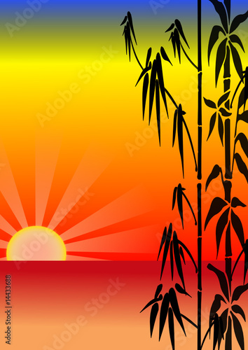 Bambus mit Sonnenuntergang