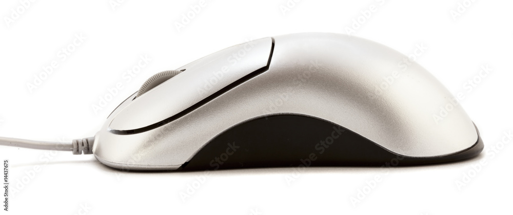 computer mouse