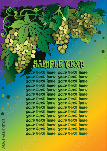 grape