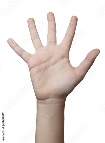 hand gesture body language