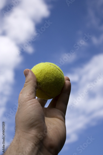 Man's hand holding tennis ball © Tomas Skopal