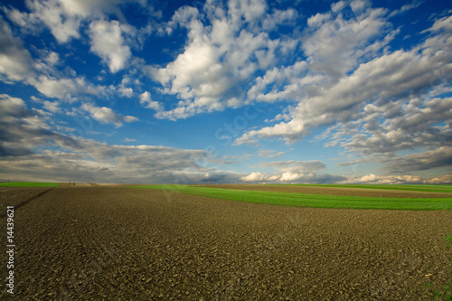Plowed field and cloudy sky