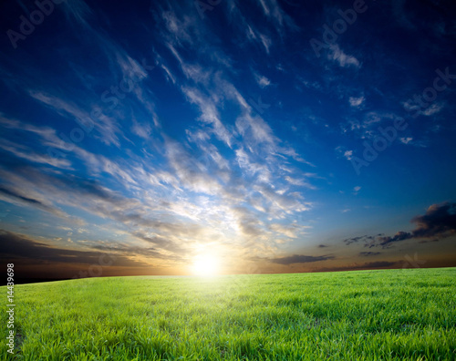 Sunset over green crops