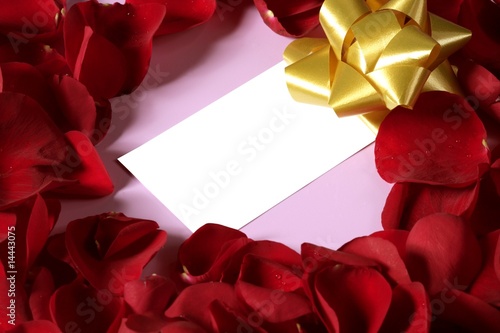 Red rose petals in heart shape, copy space blank note
