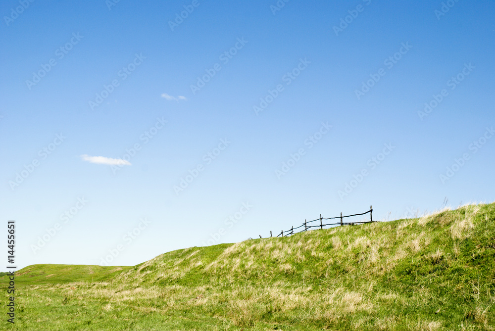 sky and grass