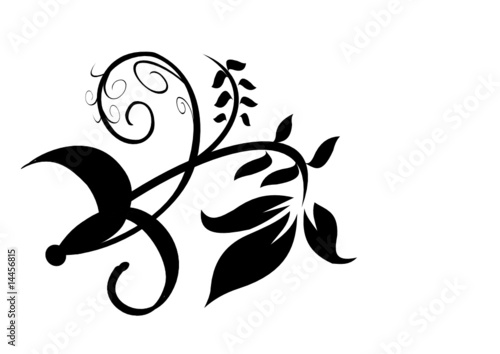 Floral Design