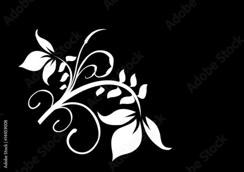 Floral & Tribal Design