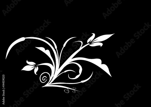 Floral & Tribal Design