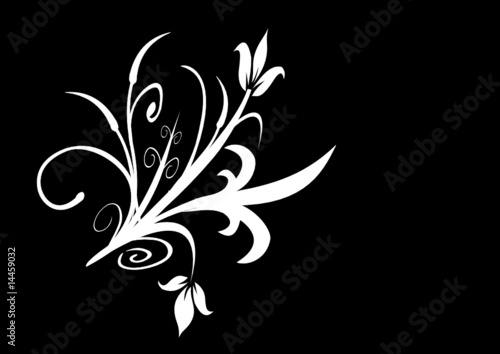 Floral & Tribal Design