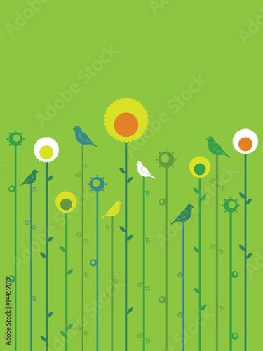 Photography nature background with trees and birds