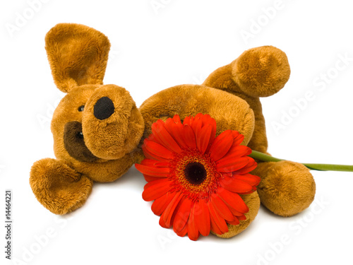 toy dog and flower
