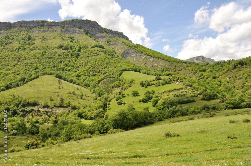 Fototapeta premium campo alaves