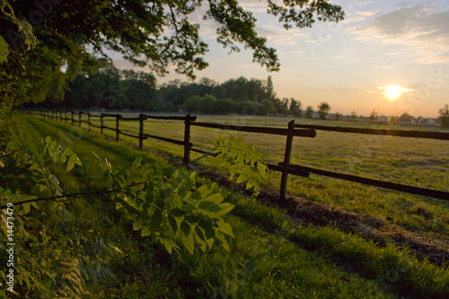 Pferdekoppel im Abendlicht