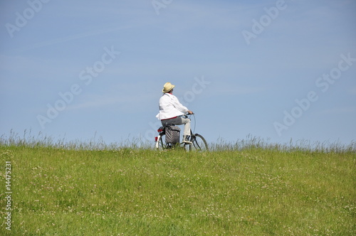 Deichradler photo